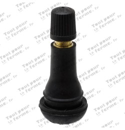 Valve Snap-in