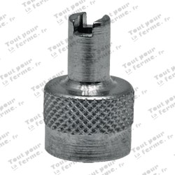Bouchon de valve