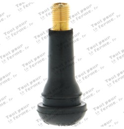 Valve Snap-in