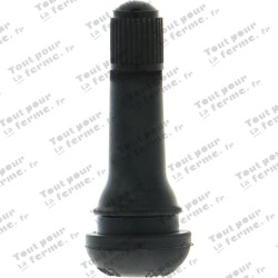 Valve Snap-in
