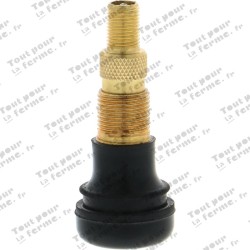 Valve Snap-in