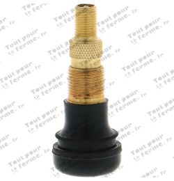 Valve Snap-in