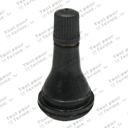 Valve Snap-in