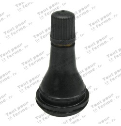 Valve Snap-in