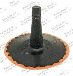 Valve pour voiture TR 25