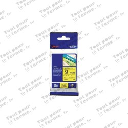 Cassette de ruban TZe