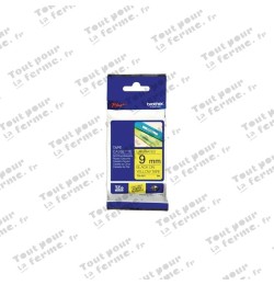 Cassette de ruban TZe