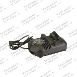 Pompe graisse sur batterie avec ZBH 20 V