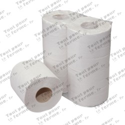 VE48 Papier toilette, double épaisseur