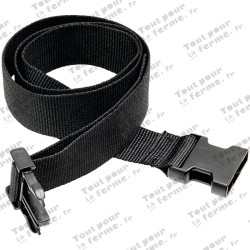 Ceinture