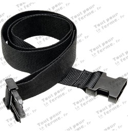 Ceinture