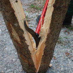 Sapie à main