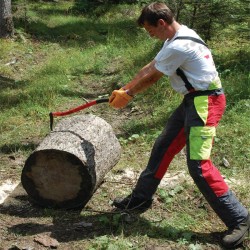 Sapie à main